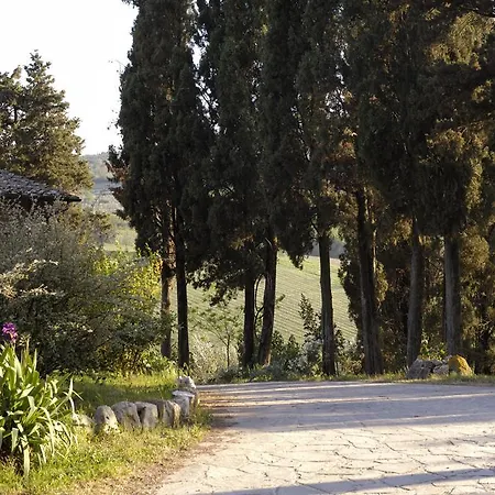 Podere Montese San Gimignano