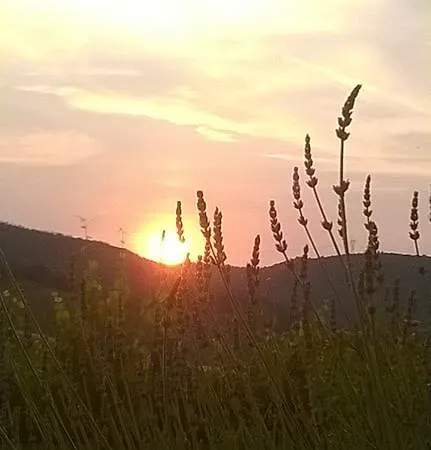 Bauernhof Podere Montese San Gimignano