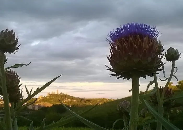 Podere Montese Country House Фермерский дом *