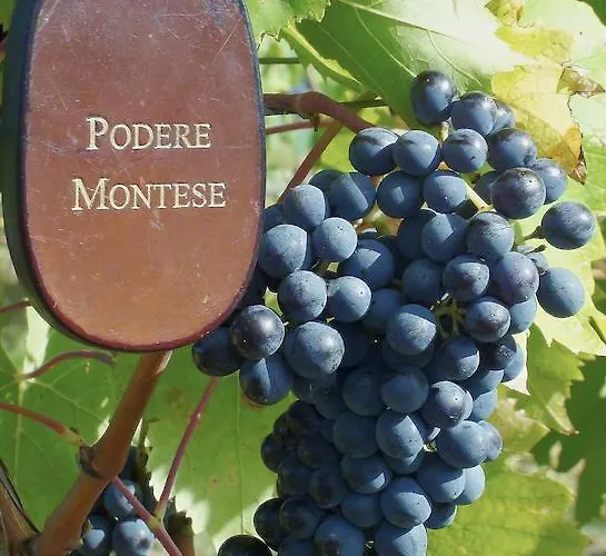 Podere Montese Country House