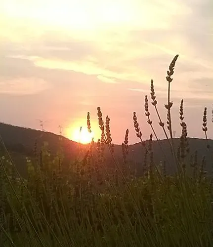 Фермерский дом Podere Montese Country House Сан-Джиминьяно